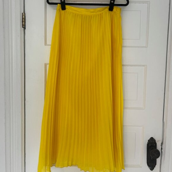 Pleated maxi skirt - Picture 1 of 3